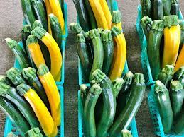This yummy summer squash can be boiled, baked, grilled and more. Do Dogs Eat Zucchini Is Zucchini Healthy Smart Dog Owners