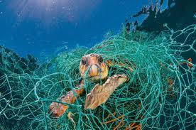 Each year, more than a million marine creatures and other birds and animals die from plastic trash.in the we. For Animals Plastic Is Turning The Ocean Into A Minefield