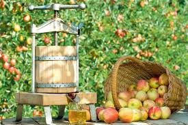 Suc natural, kombucha si sirop. Micile Afaceri Fresh Storc Profit Din Livezile De Meri Capital