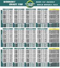 Workout Charts Synergy 360