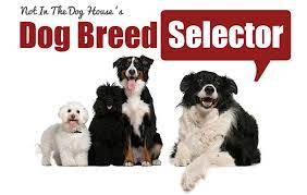 Have you ever wondered what the very best dog breed would be for you? Dog Breed Picker Quiz Online
