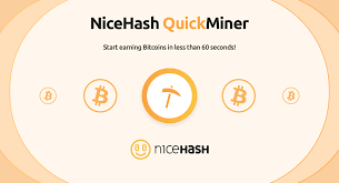 Why is nicehash showing me negative profitability initially? Quick Miner Nicehash