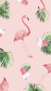 Iconsflow Wallpaper Para Celular Celular Iconsflow Para Wallpaper Flamingo Wallpaper Pink Wallpaper Iphone Background Wallpaper