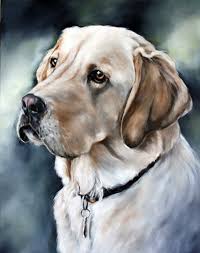La Comision Retrato Encargo Del Retrato Del Animal Por Cmqstudio Resim Atolye Hayvan Cizimi Suluboya Resimler Ve Suluboya Sanati