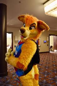 Sunny Dingo Sunny Dingo Twitter Furry Fan Fursuit Furry