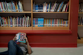 An interpretation given to anything: Reading Scores On National Exam Decline In Half The States The New York Times