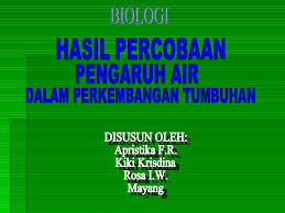 Contoh karya ilmiah biologi tentang tumbuhan. Contoh Karya Ilmiah Biologi Tentang Tumbuhan Tomat Barisan Contoh