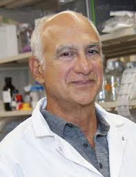 28th Annual Canadian Connective Tissue Conference