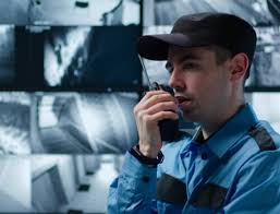 Rising Stars: Inspiring Success Stories of GSG Security Professionals