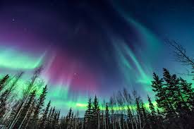 Aurora is a norwegian artist, raised among the fjords and mountains of bergen in norway. Northern Lights See Aurora Borealis Across Northern Us States