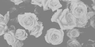 Image Via We Heart It Https Weheartit Com Entry 89014981 Via 13802995 Blackandwhite Floral Flower Twitter Cover Photo Facebook Header Facebook Background