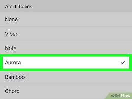 How To Change Ringtone On Viber On Iphone Or Ipad 6 Steps
