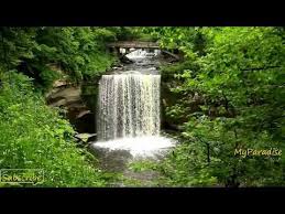Piano Relajante Musica De Piano Sonido De Cascada Canto De Pajaros Relajante Antidepresivo Youtube Relaxing Music Relaxing Rain Sounds Waterfall Sounds