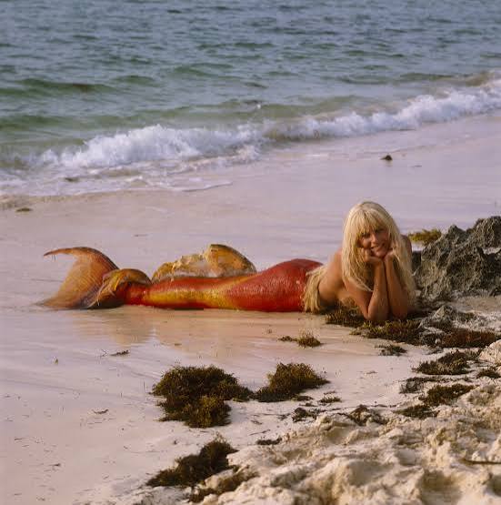 Splash (1984) - IMDb