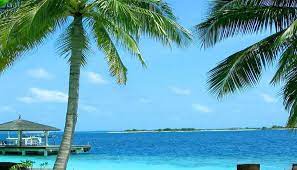 Cukup sampai disini informasi mengenai gambar hewan laut animasi yang dapat anda simak di kesempatan ini. Gambar Animasi Pemandangan Pantai Pantai Gambar Animasi For Android Apk Download 120 Sketsa Gambar Pemandangan Alam Bagus Dan Berwa Pemandangan Gambar Pantai