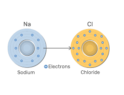 The atoms of metals tend to form cations, and the atoms of nonmetals tend to form anions. Ions Cations And Anions