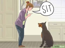 The american sign language sign for dog.show this sign to your child when you see a dog. 3 Ways To Teach A Dog To Read Sign Language Wikihow