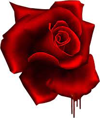 Gothic Red Rose Rosas Suenos
