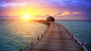Amazing place to download wallpaper fromsunset background free. Bungalow Sunset Zoom Meeting Background Template Postermywall