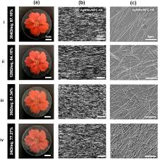 We did not find results for: Flexible Transparent And Tough Silver Nanowire Nanocellulose Electrodes For Flexible Touch Screen Panels Sciencedirect