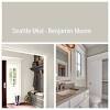 Brushed aluminum benjamin moore gray paint color. 1