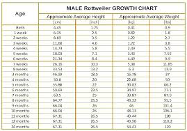 surprising baby weight chart by month calculator fetal