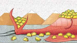 Image result for dragons love tacos