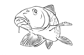 ausmalbilder malvorlagen karpfen kostenlos zum ausdrucken marchen aus aller welt der bruder grimm von a lustige malvorlagen ausmalbilder fisch zeichnung