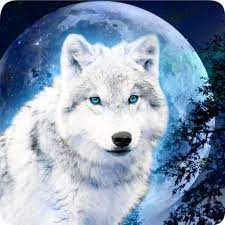 Galaxy Wolf Lwp Magic Effect 1 80 Mb Latest Version For Free Download On General Play Magical Wolf Wolf Photos Galaxy Wolf