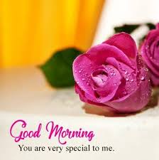 Maybe you would like to learn more about one of these? 45 Good Morning My Love Quotes Images Love Messages Tailpic
