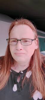 What rental options are available in Brisbane 4503 for a single story house  with a bedroom, including electricity and water, for $250 per week?