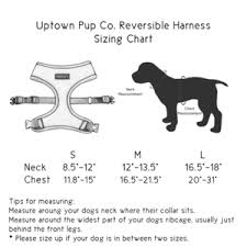 Uptown Pup Co