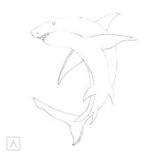 Draw a bit of a curve and finish it of with a upside down v shape. How To Draw A Shark In 6 Steps Arteza