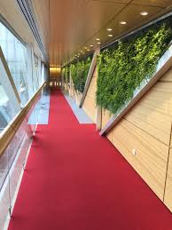 Mur Vegetalise Sur Une Passerelle En 2020 Mur Vegetal Mur Vegetalise Vegetal