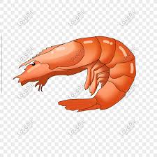 20 inspirasi logo udang kartun png mopppy. Udang Karang Kartun Yang Disediakan Oleh Laut Marin Udang Udang Gambar Unduh Gratis Imej 611707958 Format Psd My Lovepik Com