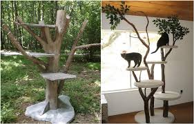 Cat Lovers Learn How To Make A Diy Cat Tree Using Real Branches Diy Cat Tree Cat Tree Cat Diy