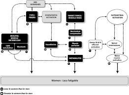 Picked him up 5 of 8. 9 Reasons Why Women Should Not Train Like Men