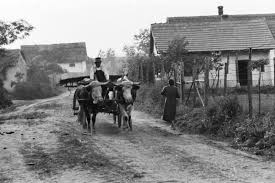 Valahol Magyarorszagon 1939 Foto Konok Tamas Id Fortepan Anno Kunde