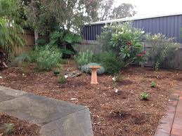 Rachel baihn is a landscape and gardening writer. Tea Tree Mulch Benefits Tea Tree Mulch Uses In The Garden