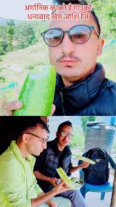 धन्यबाद Khem Joshi Bhabuk जि अर्गानिक काक्रो को लागि @highlight  #followersreelsfypシ゚viralシfypシ゚viralシalシ # #everyonefollowers Bireendra Saud