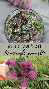 Pin On Featured Posts From Simply Beyond Herbs