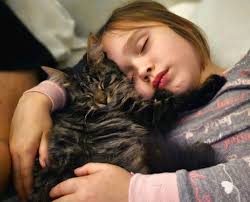 Missing Disabled Cat in Half-Moon/Gumbranch Area, Deerfield