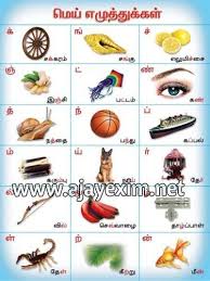 Everything made by our visitors and users. Paper Tamil Letters Poster Rs 40 Piece Ajay Exim Id 9435741362