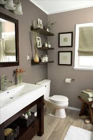 Love This Color For A Bathroom Small Bathroom Remodel Bathroom Makeovers On A Budget Green Bathroom