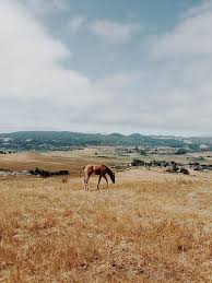 Bishop Peak San Luis Obispo Open Bishop Peak San Luis Obispo California San Luis Obispo Bishop Peak San Luis Obispo California
