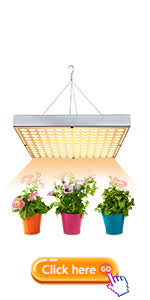 Maybe you would like to learn more about one of these? Amazon Com Led Grow Light Shengsite 75w Plant Grow Lights For Indoor House Plants Full Spectrum Growing Lamp For Hydroponics Greenhouses Grow Tent Plant Factory Flower Vegetable Patio Lawn Garden