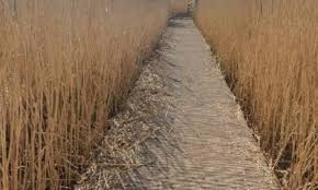 Lawrence Western Moor Loop