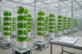 Ultimate Guide: Hydroponic Tower Cost & DIY Options