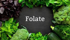 Image result for Folate Deficiency