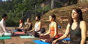 7 Days Yoga for Beginner Course